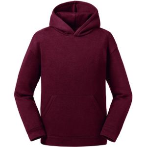Russell Kinderen/Kinderen Authentieke Sweatshirt met kap (Bourgondië)