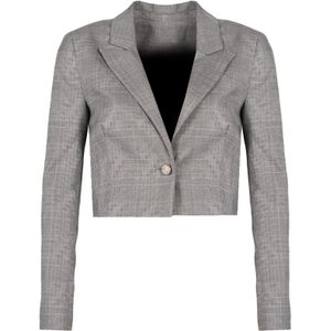 Pinko - Short Cut - Blazer - Grijs - Polyester Viscose Elastane