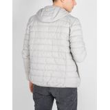 Invicta, Heren, Jassen, Grijs, Maat: M Leer,