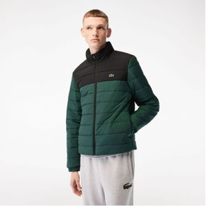 Men's Lacoste Hooded Puffer Jacket in green