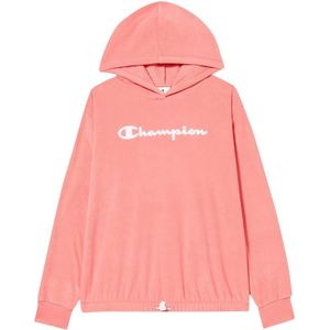 Kampioen Hoodie