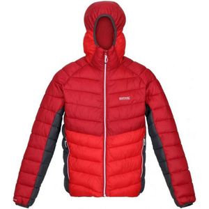 Regatta Heren Harrock Puffer Jacket (Donkerrood/Chinees rood)