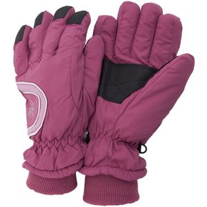 Floso Dames/Dames Thinsulate Extra Warme Thermisch Gevoerde Winter/Ski Handschoenen Met Palmgrip (3M 40g) (Roze)