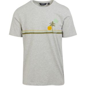 Regatta Heren Cline VIII Sunset Marl T-Shirt (Zilvergrijs)