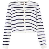 Vesten - Gestreept - Ronde Hals - Lange Mouw - Normale Pasvorm