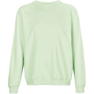 SOLS Columbia Crew Neck Sweatshirt voor volwassenen (Romig groen)