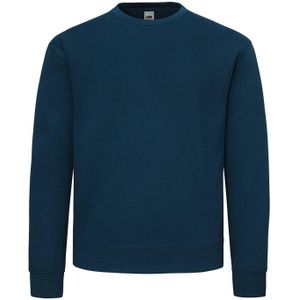 Fruit of the Loom Superkatoenen uniseks sweater voor volwassenen (Blauw in de bergen)