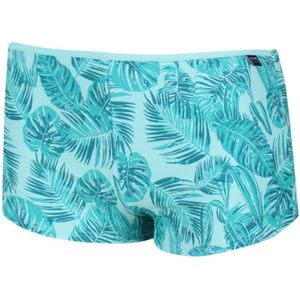 Regatta Grote Buitenshuis Vrouwen/dames Aceana Bikini Shorts (Roze Fushion) - Maat 38