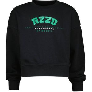 Raizzed sweater Lincoln met logo zwart