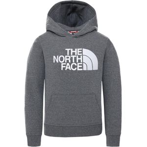 The North Face - Drew Peak - Hoodie - Grijs - Unisex Kids