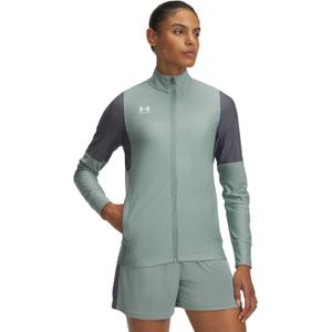 Under Armour Dames/Dames Challenger Track Jacket (Groen)