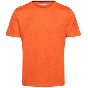 Regatta Heren Fingal Editie T-Shirt (Persimmon)