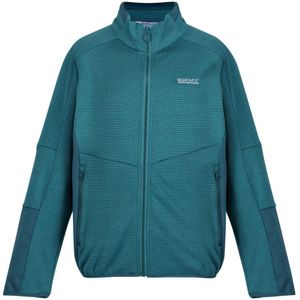 Regatta Childrens/Kids Highton III Full Zip Fleece Jacket (Pagode blauw/ libelle)