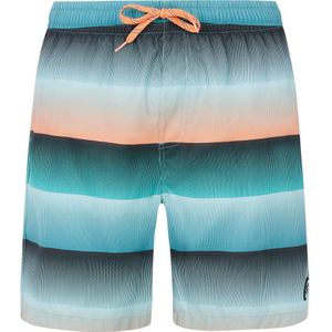 Protest - Radar Badeshorts Herren arcticgreen