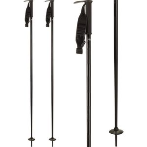 Line - Pin 15/16 Alpin Skistöcke schwarz