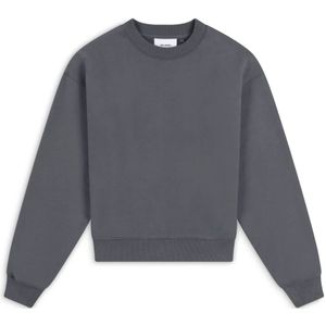 Axel Arigato, Dames, Sweatshirts & Hoodies, Grijs, Maat: XS Katoen,