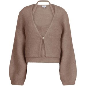 Dante 6, Dames, Truien, Bruin, Maat: S Denim,