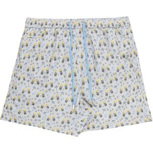 Saint Barth, Heren, Badkleding, Grijs, Maat: L Zijde,