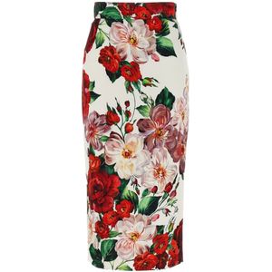 Dolce & Gabbana, Dames, Rokken, Veelkleurig, Maat: L Zijde,
