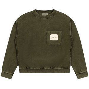 Bram's Fruit, Heren, Sweatshirts & Hoodies, Groen, Maat: S Katoen,