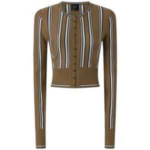 Pinko, Dames, Truien, Veelkleurig, Maat: S Wol,