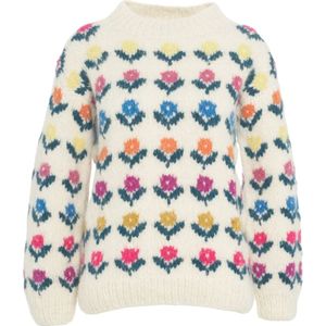 Frantic, Dames, Truien, Veelkleurig, Maat: S