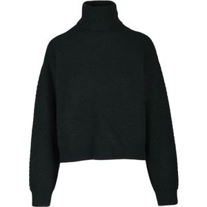 Max Mara Studio, Dames, Truien, Zwart, Maat: XS Kasjmier,