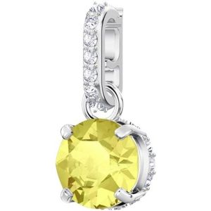 Swarovski, Dames, Accessoires, Grijs, Maat: ONE Size