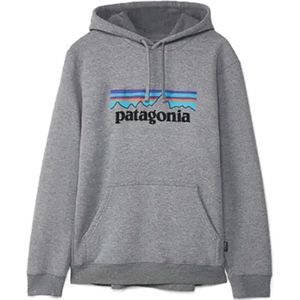 Patagonia, Heren, Sweatshirts & Hoodies, Grijs, Maat: XL
