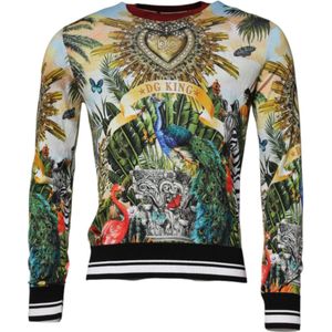 Dolce & Gabbana, Heren, Truien, Veelkleurig, Maat: M Zijde,