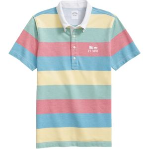 Brooks Brothers, Heren, Tops, Veelkleurig, Maat: L Piqué,