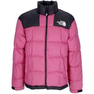 The North Face, Heren, Jassen, Paars, Maat: XS Zijde,