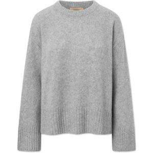 Rue De Tokyo, Dames, Truien, Grijs, Maat: L Zijde,