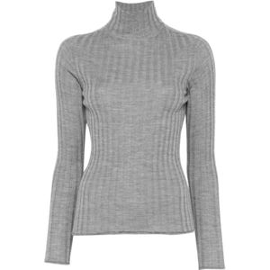 Peserico, Dames, Truien, Grijs, Maat: XL