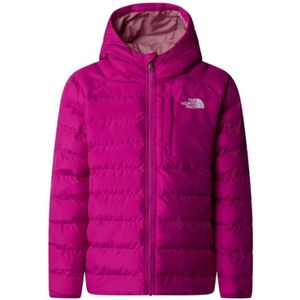 The North Face, Heren, Jassen, Roze, Maat: L