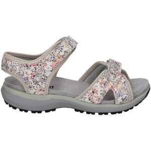 Westland, Dames, Schoenen, Veelkleurig, Maat: 41 EU