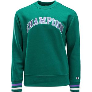 Champion, Heren, Sweatshirts & Hoodies, Groen, Maat: M Katoen,