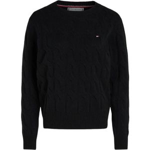 TOMMY HILFIGER - Trui - Zwart - Gebreide Truien