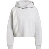 ADIDAS ORIGINALS - Sweatshirt - Grijs/Wit - Oversized - Capuchon