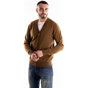 Paolo Pecora, Heren, Truien, Bruin, Maat: L Wol,