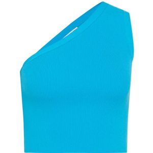 Drykorn, Dames, Tops, Blauw, Maat: S Katoen,