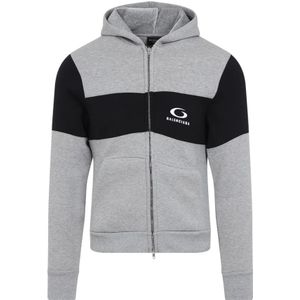 Balenciaga, Heren, Sweatshirts & Hoodies, Grijs, Maat: S