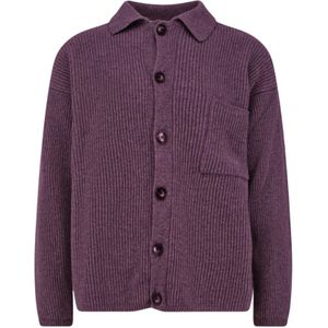 Amaránto, Heren, Truien, Paars, Maat: XL Wol,