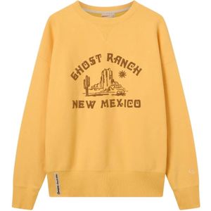 Champion, Heren, Sweatshirts & Hoodies, Beige, Maat: L