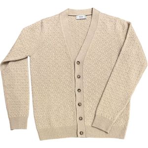 Ferrante, Heren, Truien, Beige, Maat: XL Zijde,