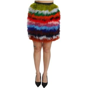 Dolce & Gabbana, Dames, Rokken, Veelkleurig, Maat: XS Zijde,