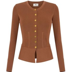 Elisabetta Franchi, Dames, Truien, Bruin, Maat: XS Viscose,
