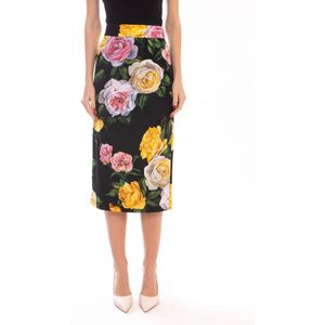 Dolce & Gabbana, Dames, Rokken, Veelkleurig, Maat: S Zijde,