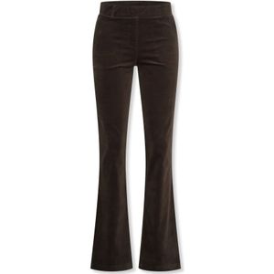 Helena Hart - 7559 - Broek - Bruin - Velours Stretch