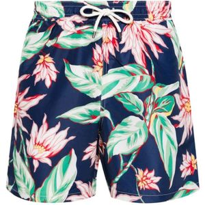 Ralph Lauren, Heren, Badkleding, Veelkleurig, Maat: S Poliester,